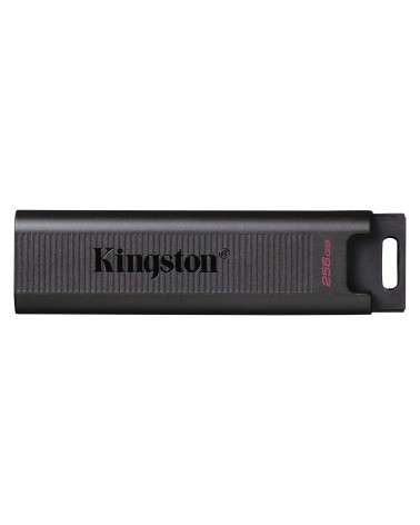 icecat_KINGSTON DataTraveler Max 256 GB, USB-Stick, DTMAX 256GB