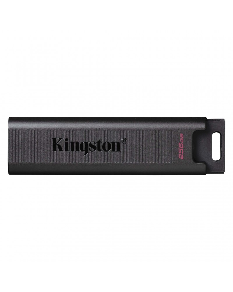icecat_KINGSTON DataTraveler Max 256 GB, USB-Stick, DTMAX 256GB