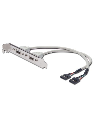 icecat_ASSMANN DIGITUS USB 2.0 Slotblechkabel, 2x Typ A - 2x IDC, 0.25m, AK-300301-002-E