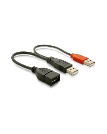 icecat_Delock USB Y-Kabel 2x Stecker A  Buchse A, 65306