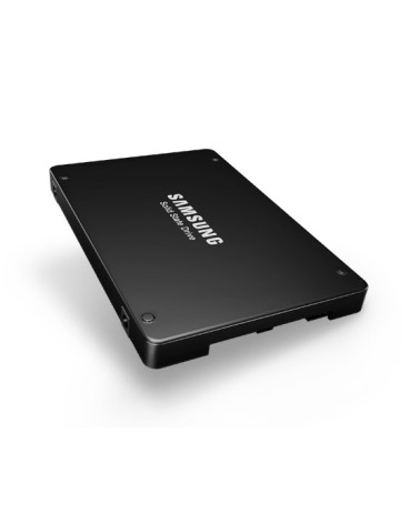 icecat_Samsung PM1643a Enterprise SSD 1,92 TB, MZILT1T9HBJR-00007