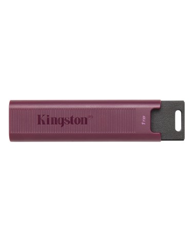 icecat_KINGSTON DataTraveler Max 1TB, USB-Stick, DTMAXA 1TB