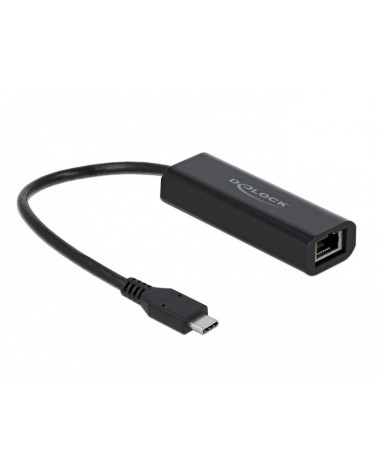 icecat_Delock Adapter USB-C  RJ45 2,5 Gigabit LAN, 66298