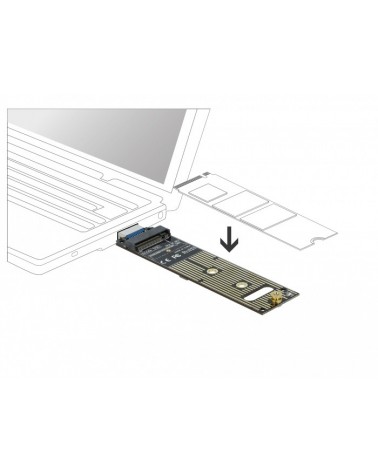 icecat_Delock Konverter für M.2 NVMe PCIe SSD mit USB 3.1 Gen 2, 64069