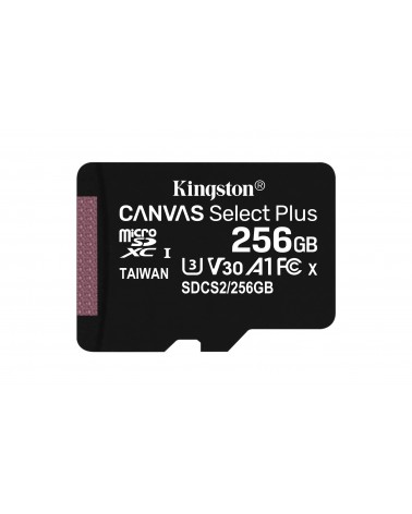icecat_KINGSTON R100 256 GB microSDXC, Speicherkarte, SDCS2 256GB